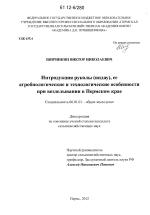 Интродукция руколы (индау), ее агробиологические и технологические особенности при возделывании в Пермском крае - тема диссертации по сельскому хозяйству, скачайте бесплатно