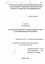 Адаптация пробирочных растений ягодных культур и последействие криосохранения - тема диссертации по сельскому хозяйству, скачайте бесплатно