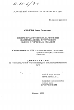 Мясная продуктивность бычков при скармливании им кукурузного силоса с горчичным жмыхом - тема диссертации по сельскому хозяйству, скачайте бесплатно