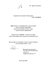 Эффективность выращивания и продуктивные качества цыплят-бройлеров при использовании цельного зерна и растительных фосфатидов - тема диссертации по сельскому хозяйству, скачайте бесплатно