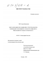 Кристаллизация и исследование структуры фактора терминации трансляции RF1 и фактора рециклинга рибосом RRF из Thermus thermophilus - тема диссертации по биологии, скачайте бесплатно