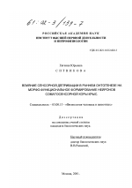 Влияние сенсорной депривации в раннем онтогенезе на морфо-функциональное формирование нейронов соматосенсорной коры крыс - тема диссертации по биологии, скачайте бесплатно