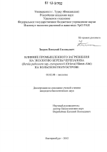 Влияние промышленного загрязнения на экологию березы Черепанова (Betula pubescens ssp. czerepanovii (Orlova) Hӓmet-Ahti) на Кольском полуострове - тема диссертации по биологии, скачайте бесплатно