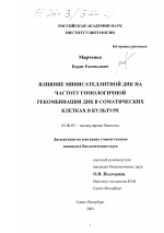 Влияние минисателлитной ДНК на частоту гомологичной рекомбинации ДНК в соматических клетках в культуре - тема диссертации по биологии, скачайте бесплатно