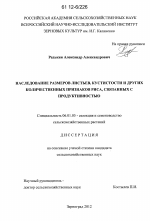 Наследование размеров листьев, кустистости и других количественных признаков риса, связанных с продуктивностью - тема диссертации по сельскому хозяйству, скачайте бесплатно