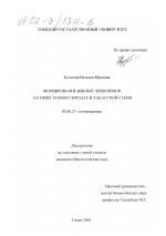 Формирование южных черноземов на известковых породах в Хакасской степи - тема диссертации по биологии, скачайте бесплатно