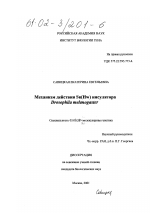 Механизм действия Su(Hw) инсулятора Drosophila melanogaster - тема диссертации по биологии, скачайте бесплатно