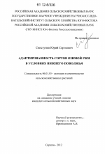 Адаптированность сортов озимой ржи в условиях Нижнего Поволжья - тема диссертации по сельскому хозяйству, скачайте бесплатно