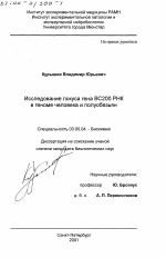 Исследование локуса гена ВС200 РНК в геноме человека и полуобезьян - тема диссертации по биологии, скачайте бесплатно