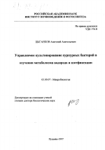 Управляемое культивирование пурпурных бактерий в изучении метаболизма водорода и азотфиксации - тема диссертации по биологии, скачайте бесплатно