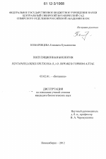 Популяционная биология Pentaphylloides fruticosa (L.) O. Schwarz в Горном Алтае - тема диссертации по биологии, скачайте бесплатно