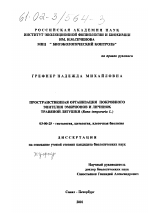 Пространственная организация покровного эпителия эмбрионов и личинок травяной лягушки - тема диссертации по биологии, скачайте бесплатно