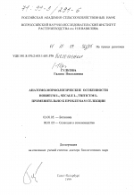 Анатомо-морфологические особенности Hordeum L., Triticum L. применительно к проблемам селекции - тема диссертации по биологии, скачайте бесплатно