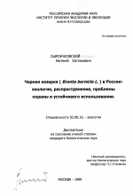 Черная казарка (Branta bernicla) в России - тема диссертации по биологии, скачайте бесплатно