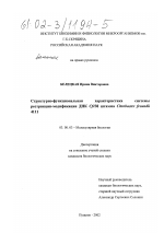 Структурно-функциональная характеристика системы рестрикции-модификации ДНК CfrBI штамма Cirobacter freundii 4111 - тема диссертации по биологии, скачайте бесплатно