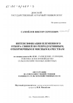 Интенсификация племенного отбора свиней по репродуктивным, откормочным и мясным качествам - тема диссертации по сельскому хозяйству, скачайте бесплатно