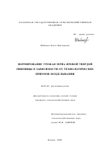 Формирование урожая зерна яровой твердой пшеницы в зависимости от технологических приемов возделывания - тема диссертации по сельскому хозяйству, скачайте бесплатно