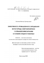 Эффективность промышленного скрещивания маток породы советский меринос с куйбышевскими баранами в условиях Среднего Поволжья - тема диссертации по сельскому хозяйству, скачайте бесплатно