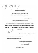 Биологические особенности формирования урожая и разработка технологии производства стахиса в условиях Северо-Западного региона России - тема диссертации по сельскому хозяйству, скачайте бесплатно