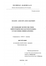 Исследование экспрессии генов нейротрофических факторов человека в трансгенных линиях дрозофил - тема диссертации по биологии, скачайте бесплатно