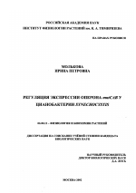 Регуляция экспрессии оперона mntCAB у цианобактерии Synechocystis - тема диссертации по биологии, скачайте бесплатно