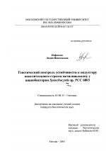 Генетический контроль устойчивости к индуктору окислительного стресса метилвиологену у цианобактерий Synechocystis sp. РСС 6803 - тема диссертации по биологии, скачайте бесплатно