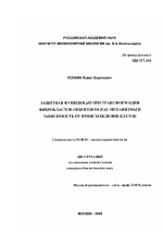 Защитная функция p53 при трансформации фибробластов онкогеном RAS: механизмы и зависимость от происхождения клеток - тема диссертации по биологии, скачайте бесплатно