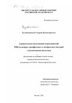 Сравнительное исследование взаимодействий РНК-полимераз термофильных и мезофильных бактерий с нуклеиновыми кислотами - тема диссертации по биологии, скачайте бесплатно