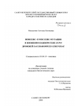 Нонсенс- и миссенс-мутации в жизненно-важном гене SUP45 дрожжей Saccharomyces Cerevisiae - тема диссертации по биологии, скачайте бесплатно