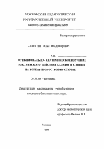 Функционально-анатомическое изучение токсического действия кадмия и свинца на корень проростков кукурузы - тема диссертации по биологии, скачайте бесплатно