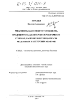 Механизмы действия фитотоксинов, продуцируемых Pseudomonas syringae, на ионную проницаемость модельных и клеточных мембран - тема диссертации по биологии, скачайте бесплатно