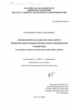 Морфологическая диагностика почв и почвообразовательных процессов в Селенгинском среднегорье - тема диссертации по биологии, скачайте бесплатно