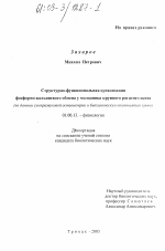 Структурно-функциональная организация фосфорно-кальциевого обмена у молодняка крупного рогатого скота - тема диссертации по биологии, скачайте бесплатно