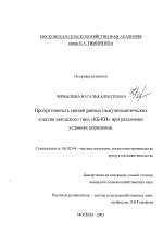 Продуктивность свиней разных иммуногенетических классов заводского типа "КБ-КН" при различных условиях кормления - тема диссертации по сельскому хозяйству, скачайте бесплатно