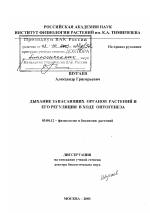 Дыхание запасающих органов растений и его регуляция в ходе онтогенеза - тема диссертации по биологии, скачайте бесплатно