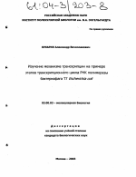 Изучение механизма транскрипции на примере этапов транскрипционного цикла РНК полимеразы бактериофага Т7 Escherichia coli - тема диссертации по биологии, скачайте бесплатно