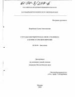 Глутаматдегидрогеназа мозга человека в норме и при шизофрении - тема диссертации по биологии, скачайте бесплатно