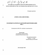 Белковые маркеры в сортовой идентификации риса - тема диссертации по сельскому хозяйству, скачайте бесплатно