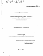 Модулирующее влияние АТФ на нейронную активность области САЗ гиппокампа новорожденных крыс - тема диссертации по биологии, скачайте бесплатно