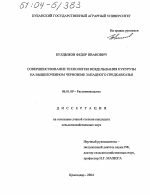 Совершенствование технологии возделывания кукурузы на выщелоченном черноземе Западного Предкавказья - тема диссертации по сельскому хозяйству, скачайте бесплатно