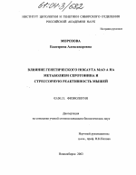 Влияние генетического нокаута МАО на метаболизм серотонина и стрессорную реактивность мышей - тема диссертации по биологии, скачайте бесплатно